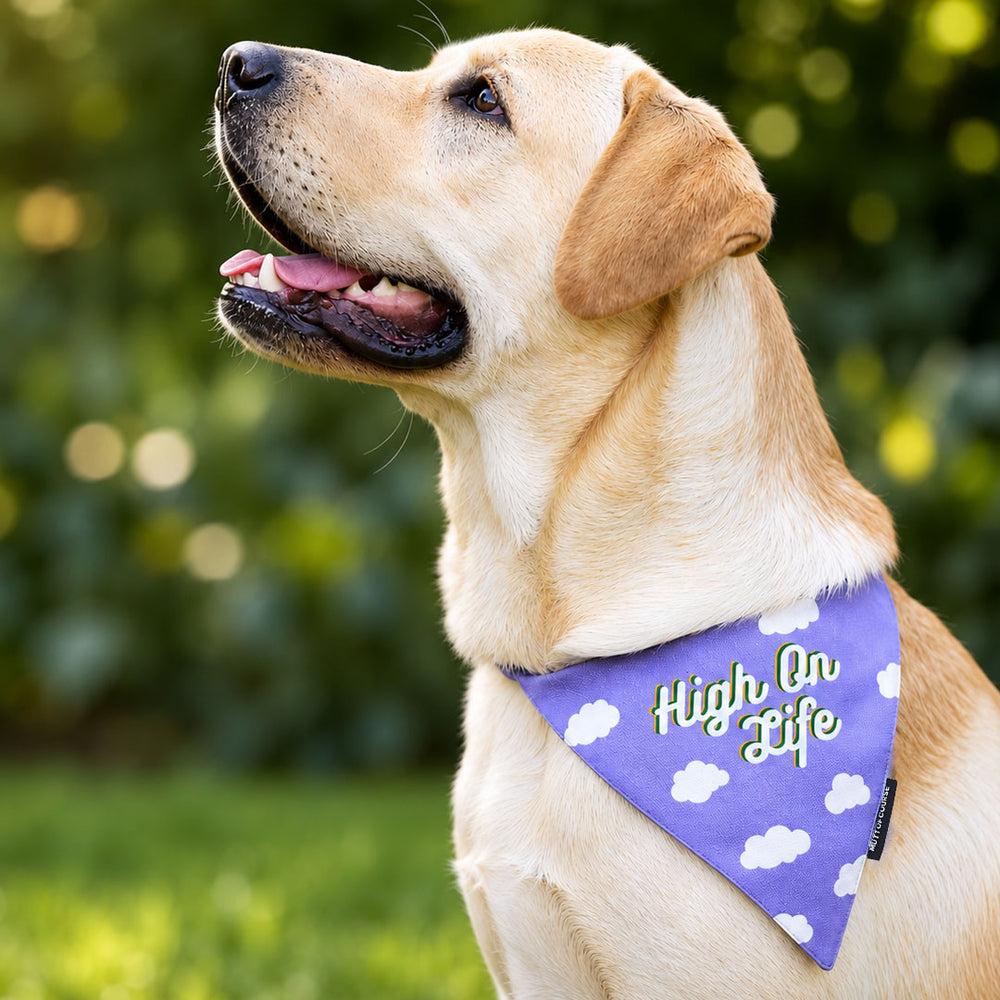High on Life Bandana
