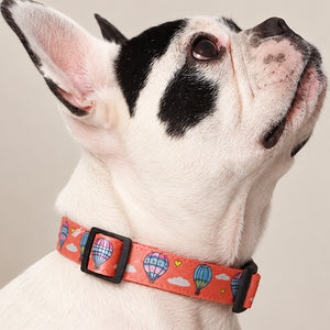 Hot Air Balloon Collar for Cats and Dogs