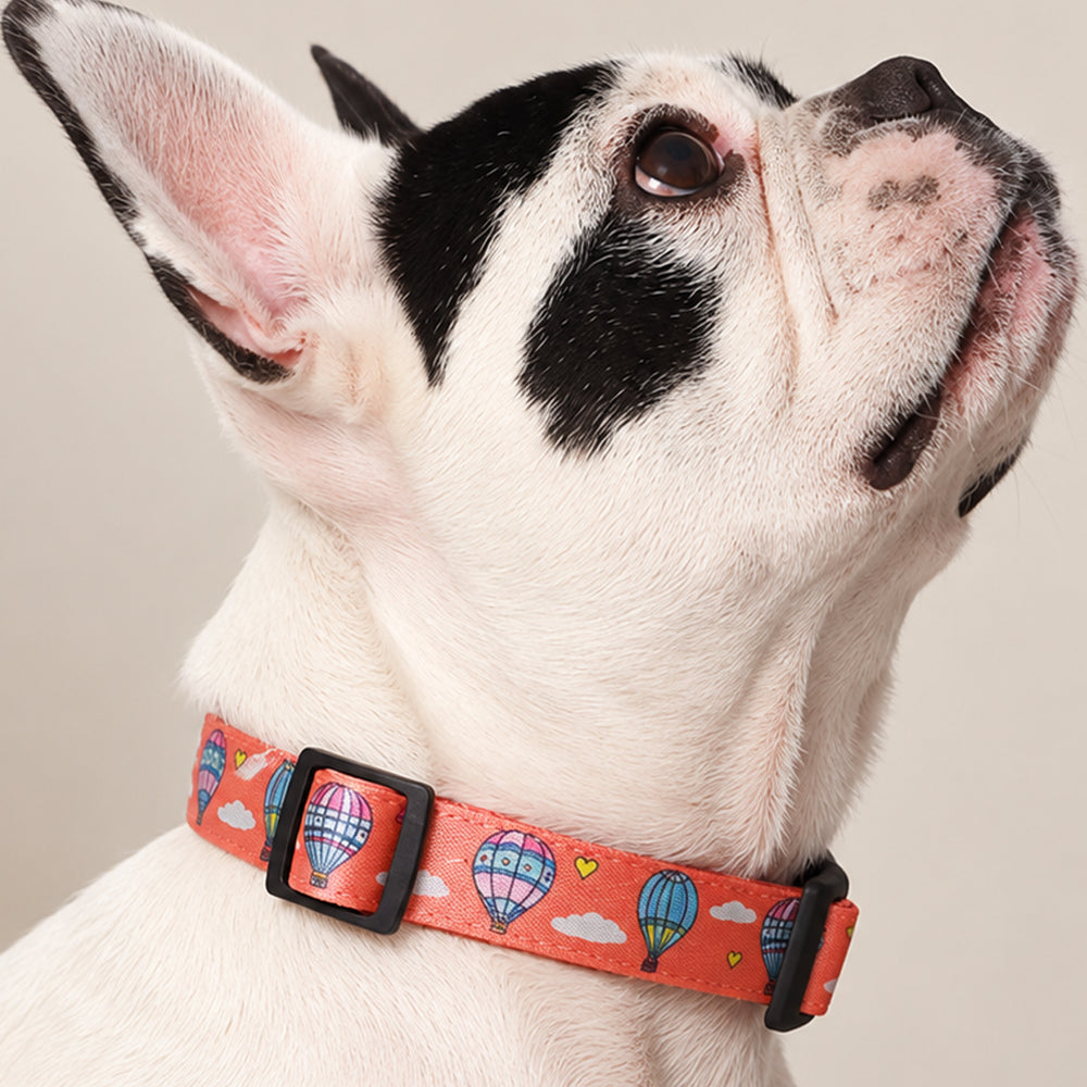 Hot Air Balloon Collar for Cats and Dogs