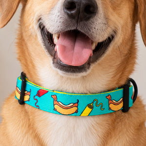 Hot Dog Collar