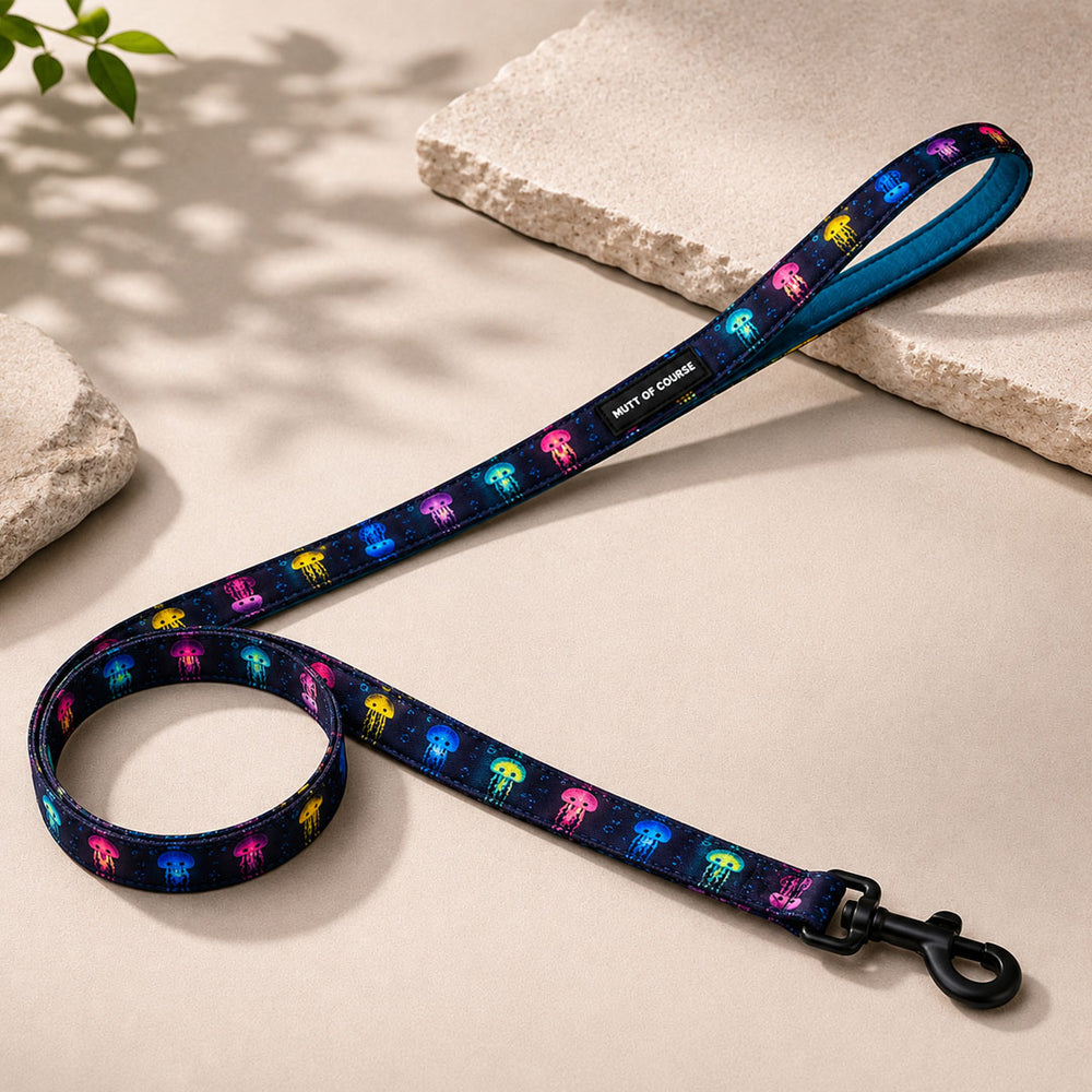 Jellyfish Leash