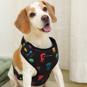 Jellyfish Vest Harness
