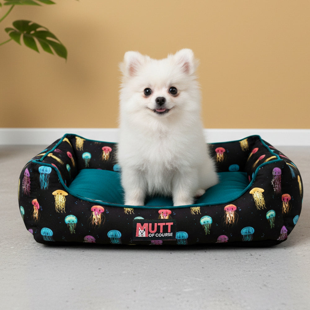 Jellyfish Lounger Bed