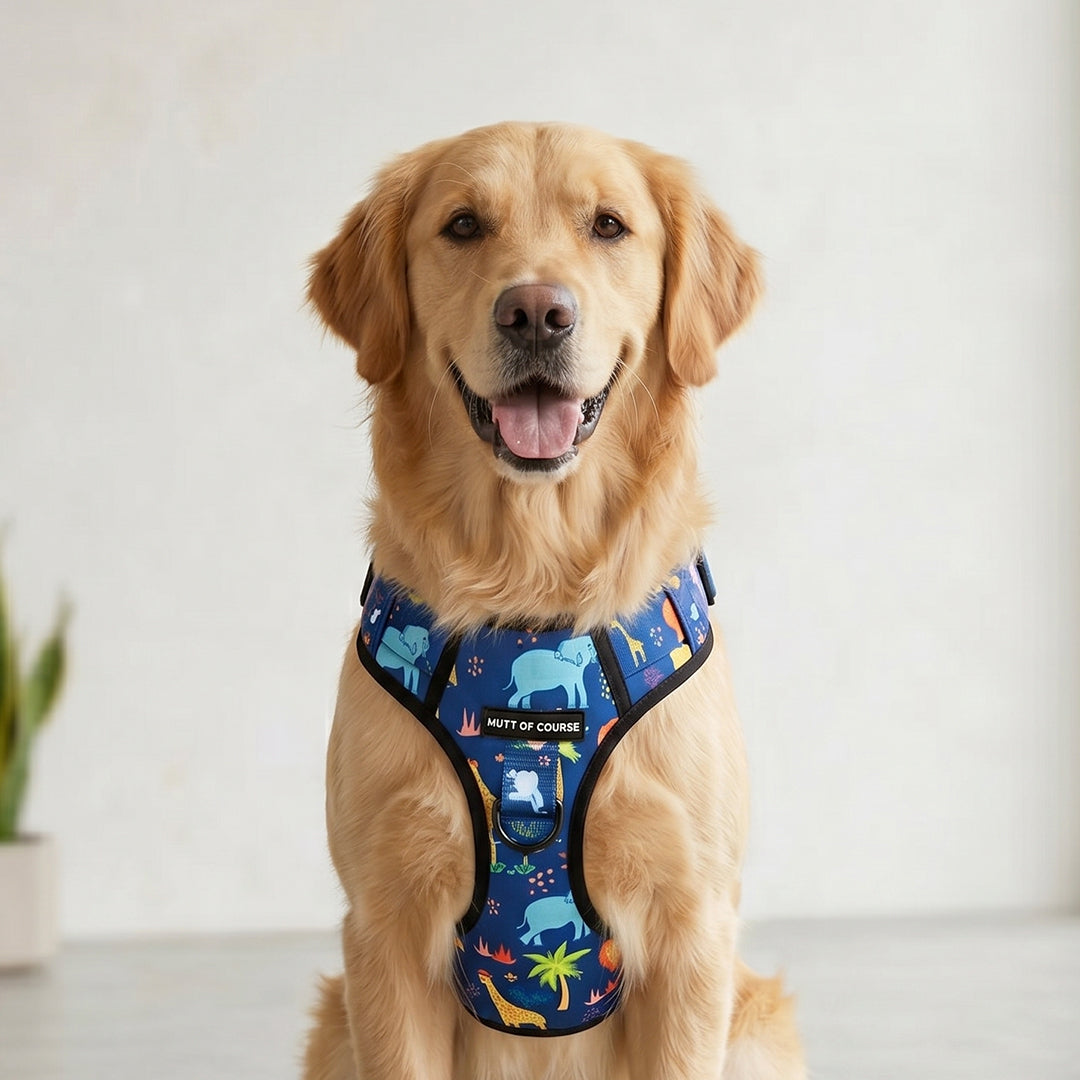 Jungle Ruff N' Tuff Harness – Mutt of Course