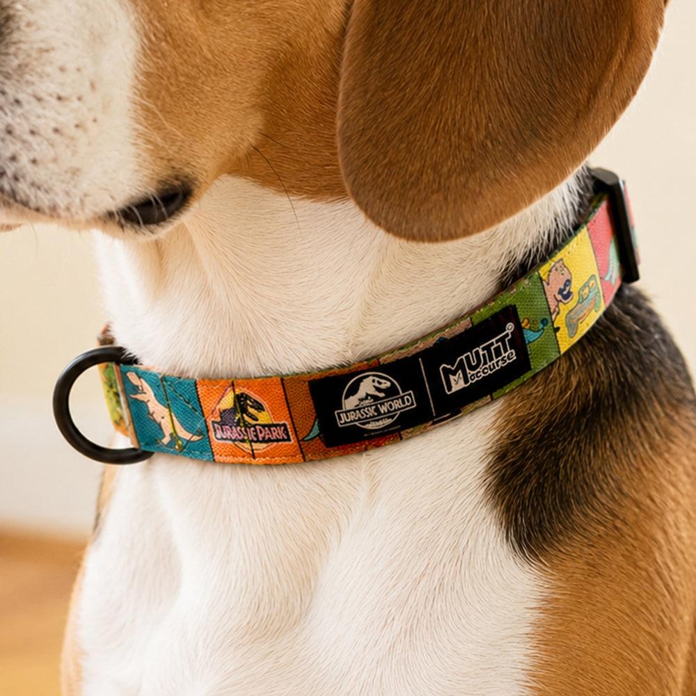 Jurassic Classic Dog Collar