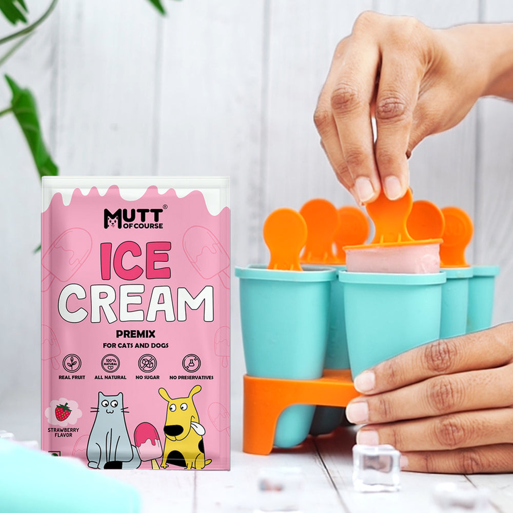 Strawberry Ice Cream for Cats & Dogs - Premix (Pet Nutritionist Approved)
