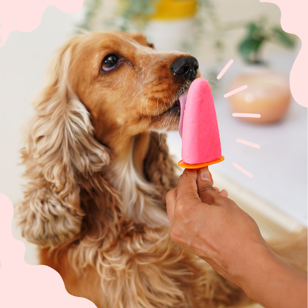 Strawberry Ice Cream for Cats & Dogs - Premix (Pet Nutritionist Approved)