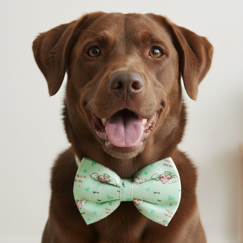 Love Is In The Air Bow Tie