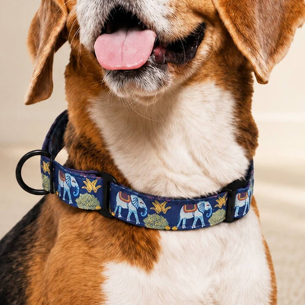 Royal Indian Elephant Martingale Collar