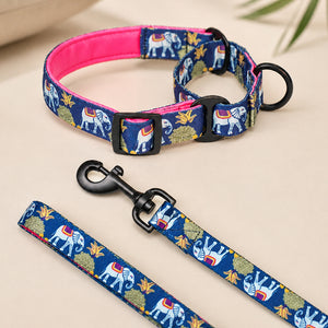 Royal Indian Elephant Martingale Collar + Leash Set