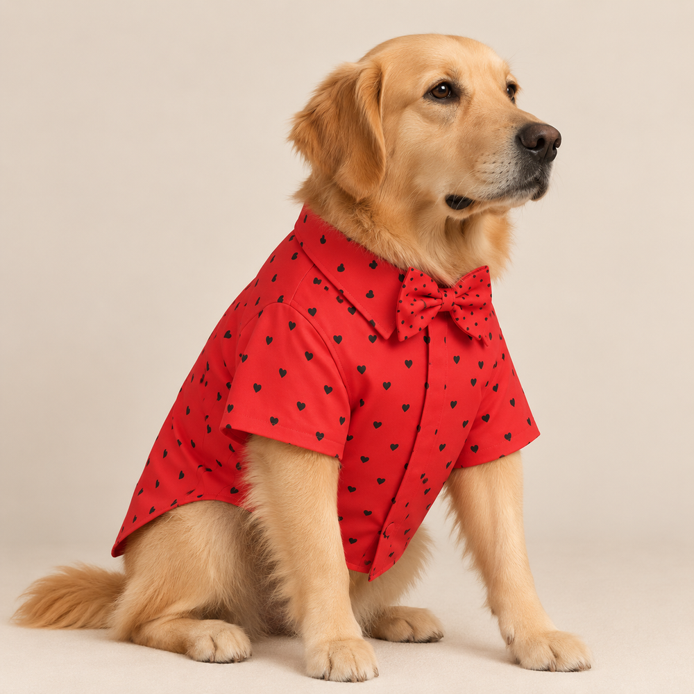 Matching Little Hearts Dog Shirt & Dog Bow Tie  | Adjustable Bow Tie for Dogs | Breathable Fabric Shirt for Dogs