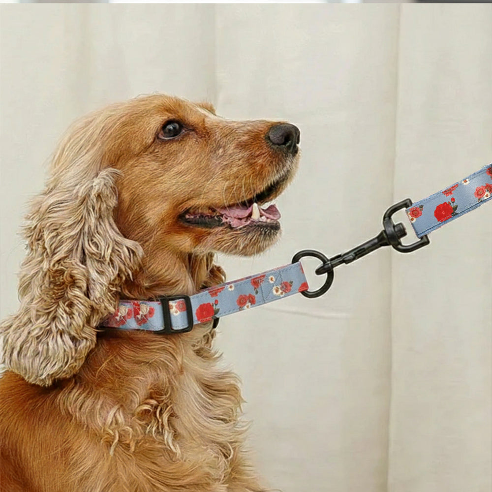 Pawesome Blossom Martingale Denim collar