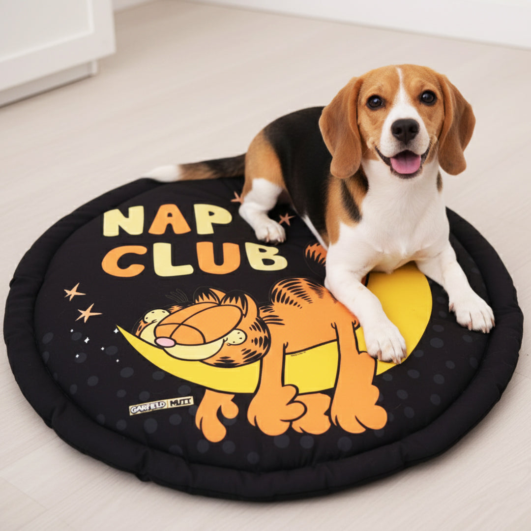 Garfield Nap Club Mat For Dogs – Mutt of Course