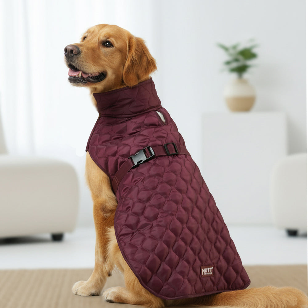 Burgundy Quilted Dog Jacket (Suitable upto 5°C)