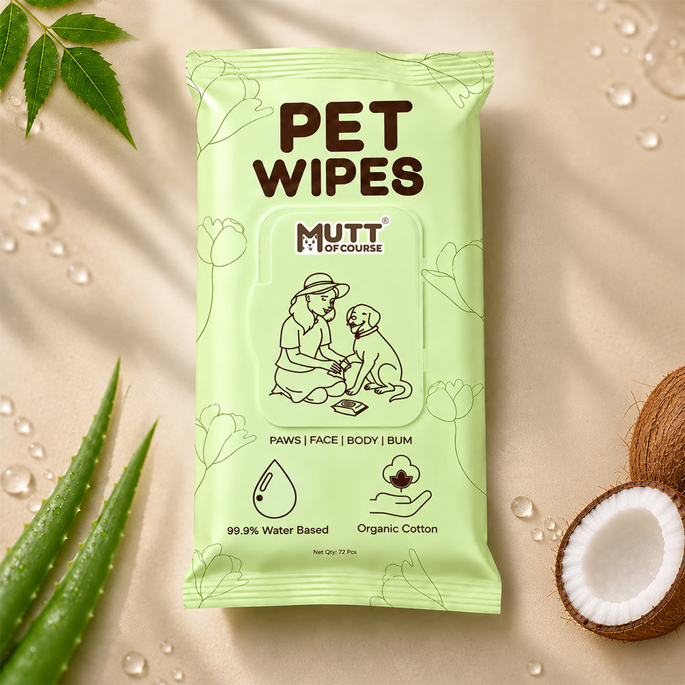 Water-Based Pet Wipes (Large) For Cats & Dogs | No Alcohol | No Paraben | No Sulphate