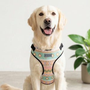 Aztec Vest Harness