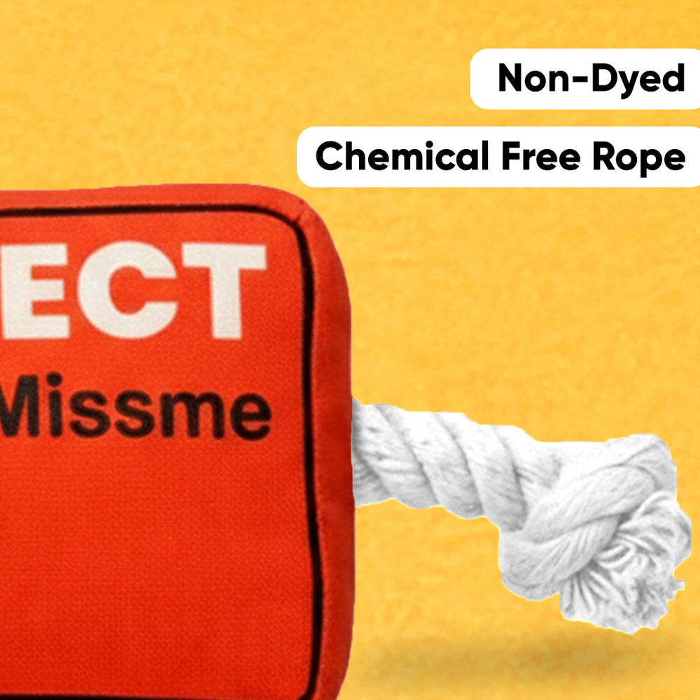 Pawfect Missme Squeaky Rope Dog Toy