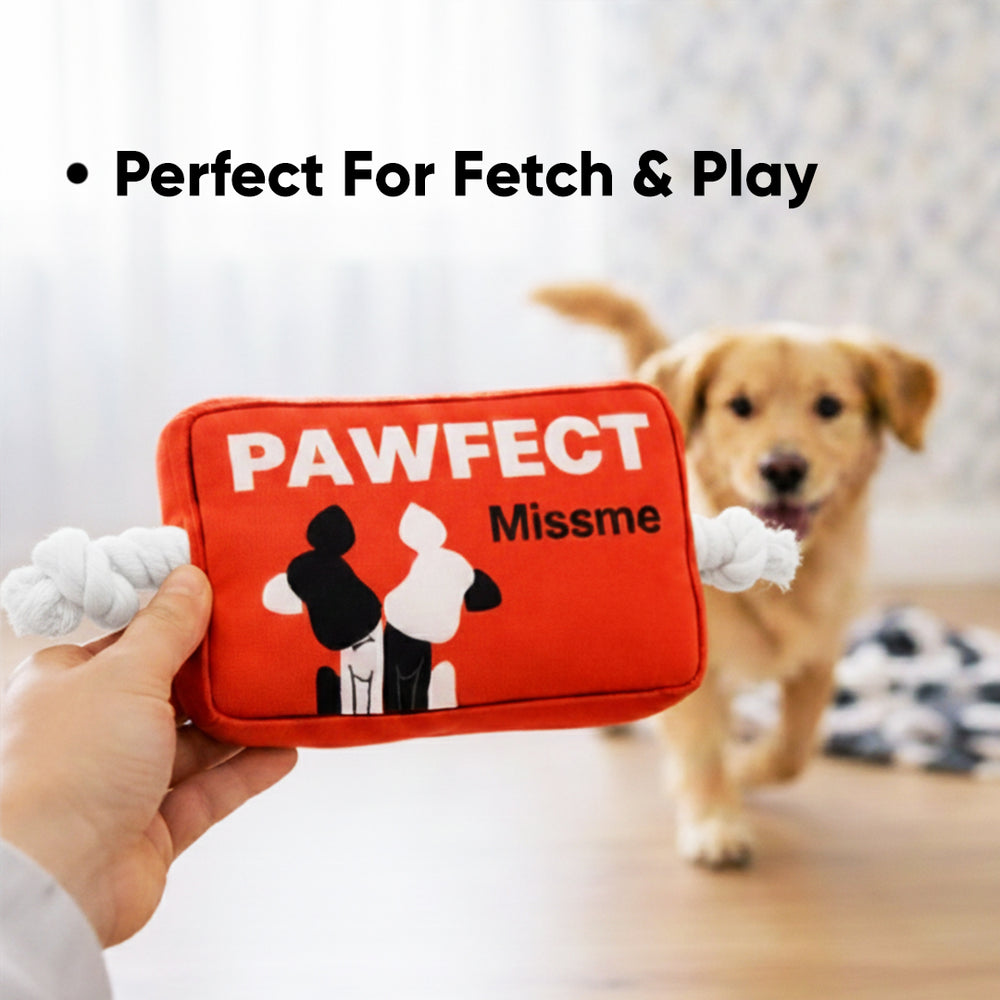 Pawfect Missme Squeaky Rope Dog Toy