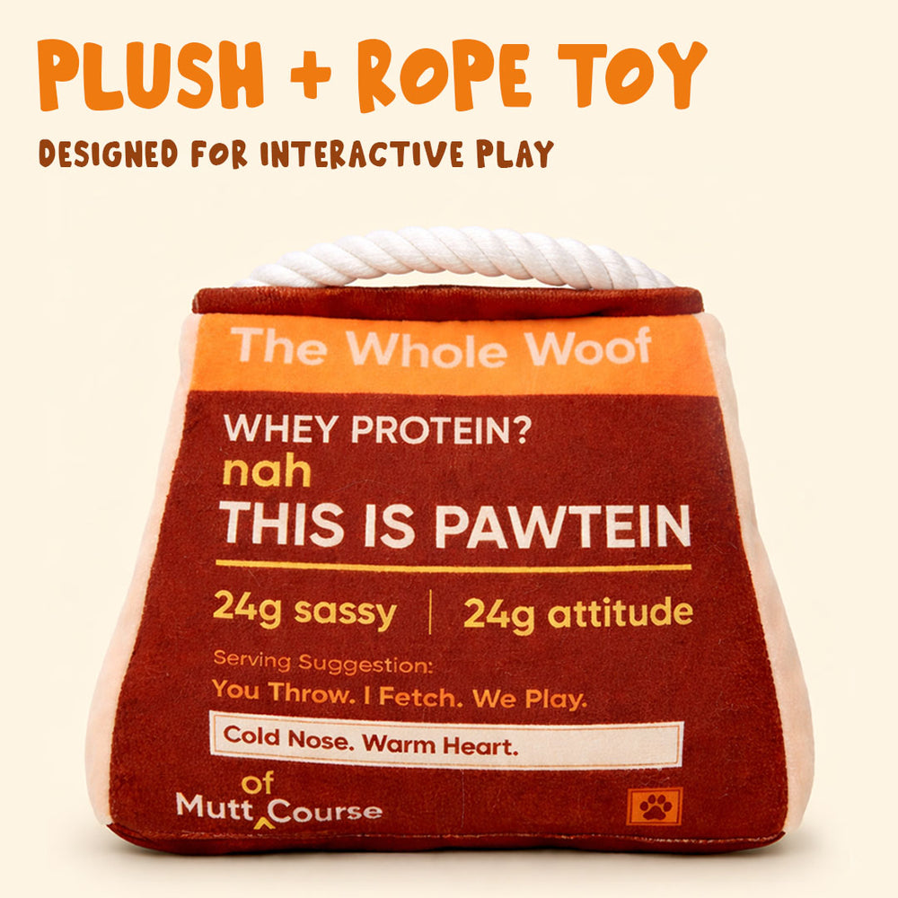 High Pawtein Dog Toy