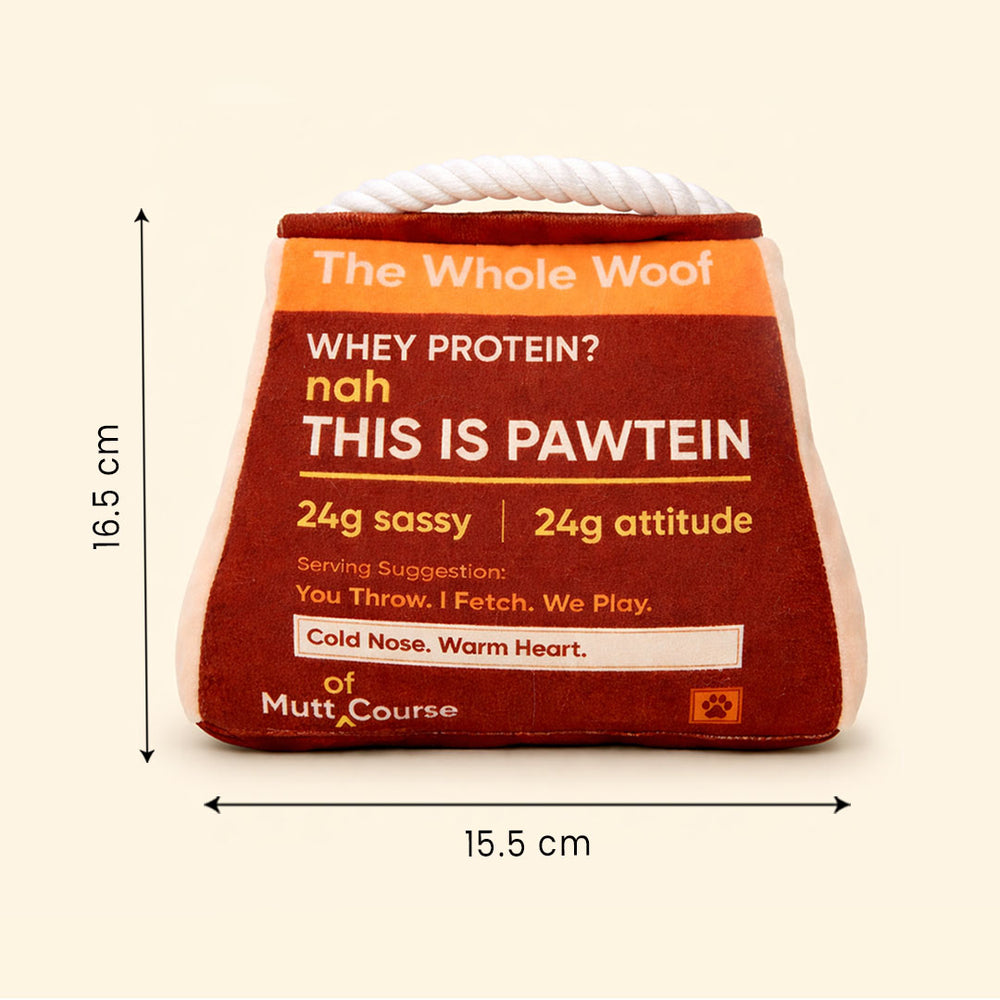 High Pawtein Dog Toy