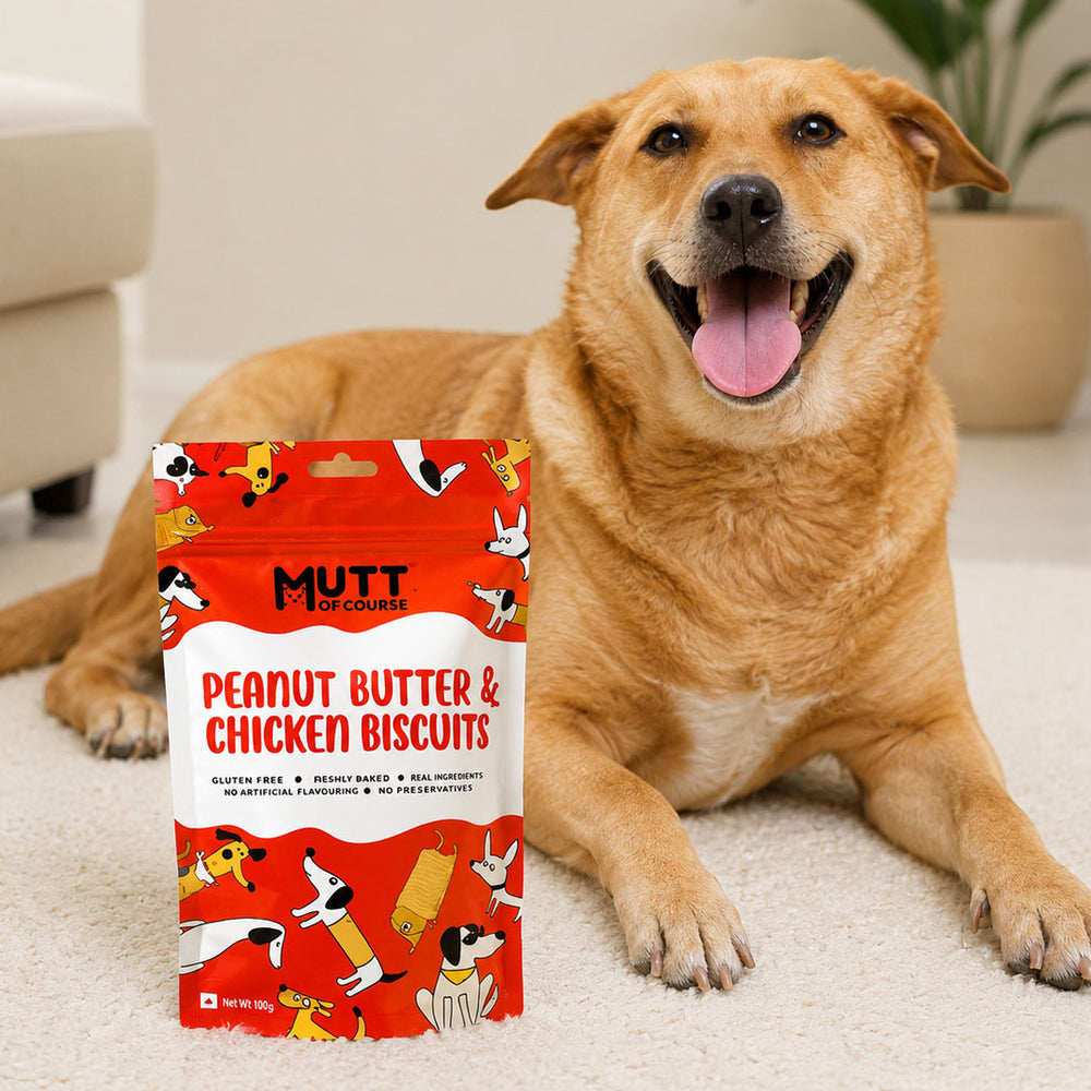 Peanut Butter Chicken Pet Treats (Gluten Free)