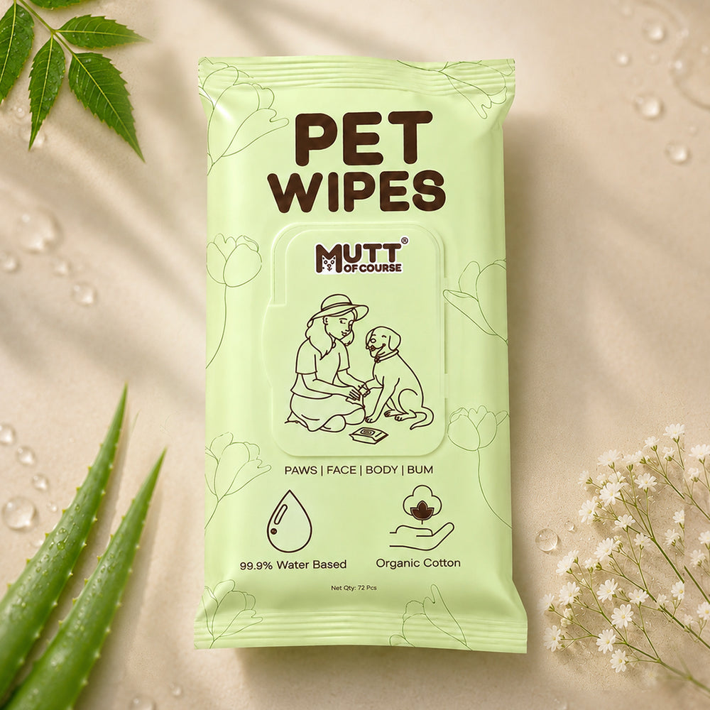 Water-Based Pet Wipes (Large) For Cats & Dogs | No Alcohol | No Paraben | No Sulphate
