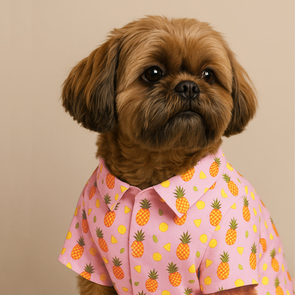 Matching Pineapple Pop Dog Shirt & Dog Bow Tie  | Adjustable Bow Tie for Dogs | Breathable Fabric Shirt for Dogs