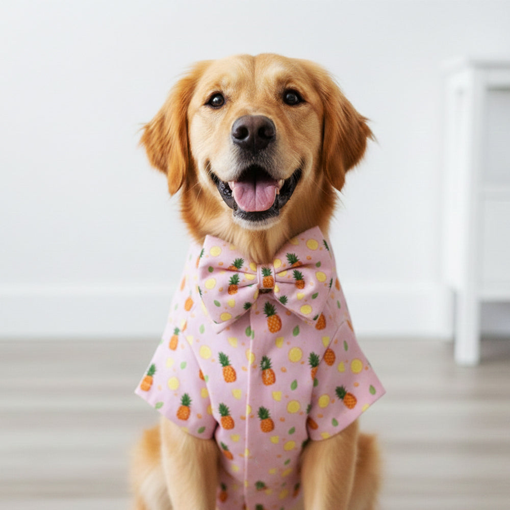 Matching Pineapple Pop Dog Shirt & Dog Bow Tie  | Adjustable Bow Tie for Dogs | Breathable Fabric Shirt for Dogs