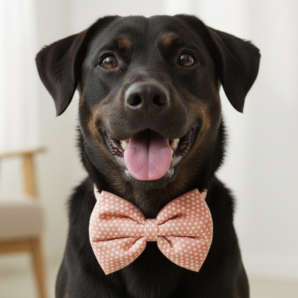 Polka Pink Dog Bow Tie