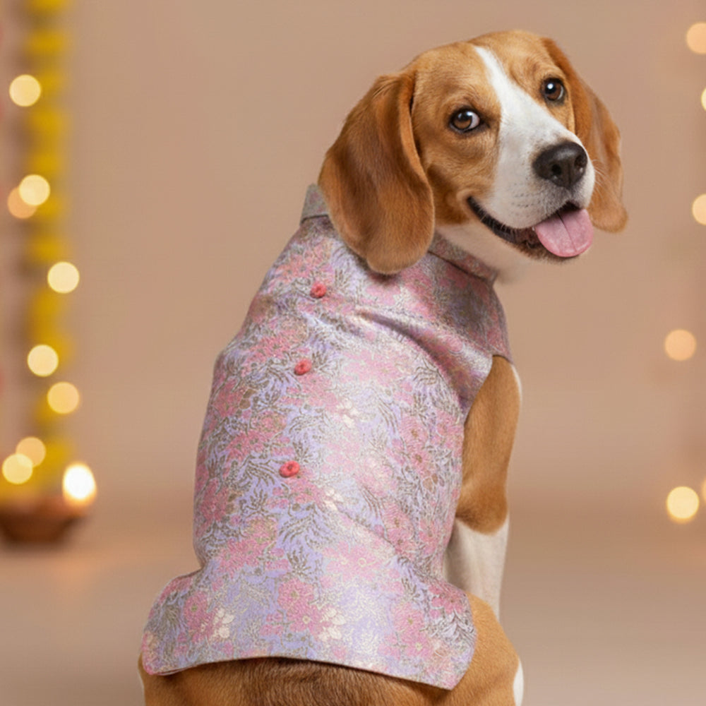 Pink Floral Bliss Sherwani