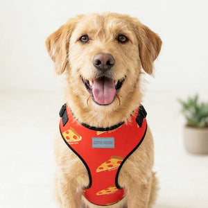 Pupperoni Body Vest Harness
