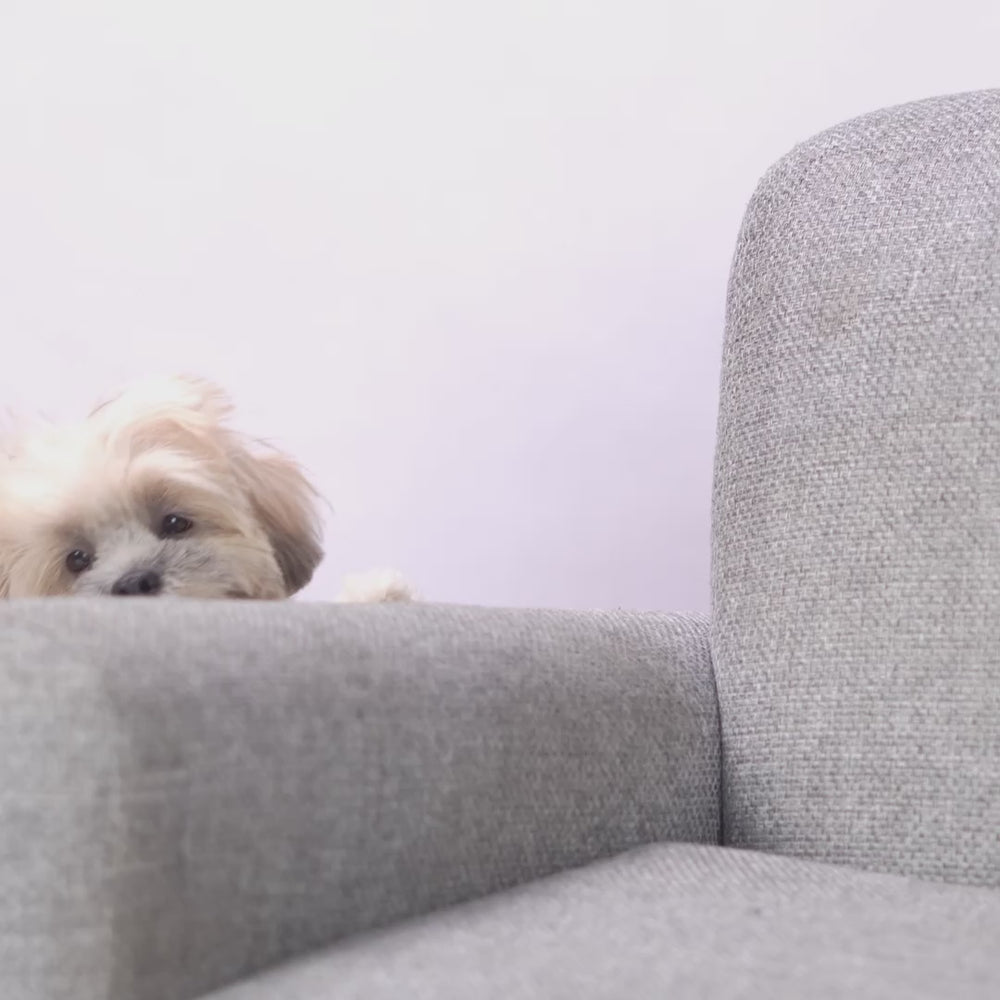 Black Ear Muff For Cats & Dogs