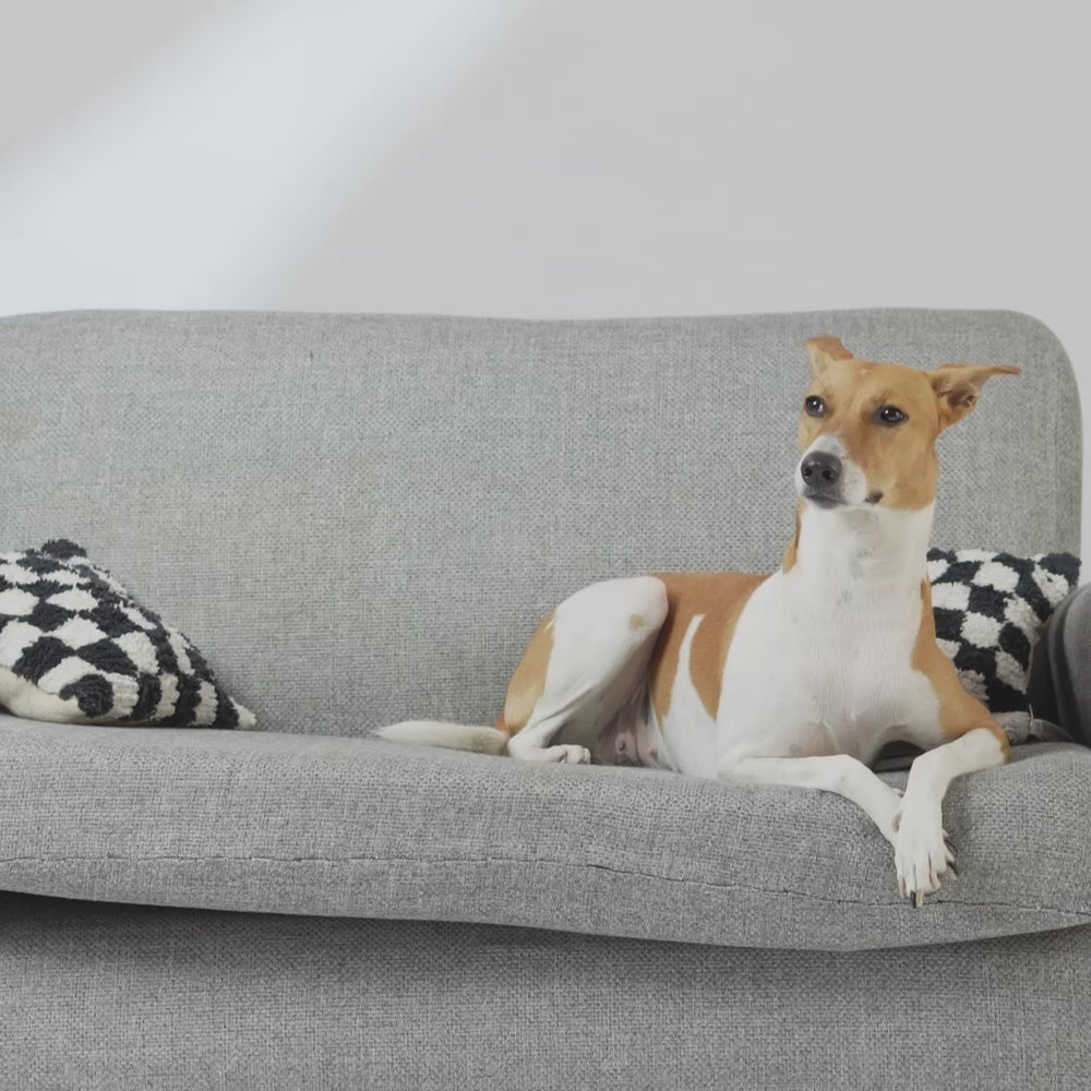 Water-Based Pet Wipes For Cats & Dogs