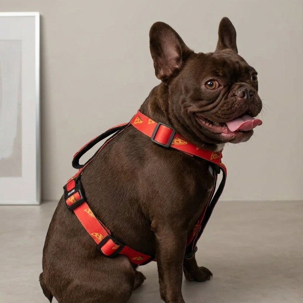 Pupperoni H Harness