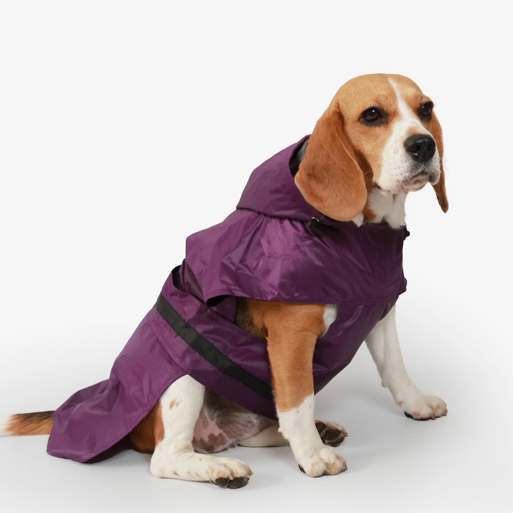 Hooded Dog Raincoat Hooded Dog Raincoat