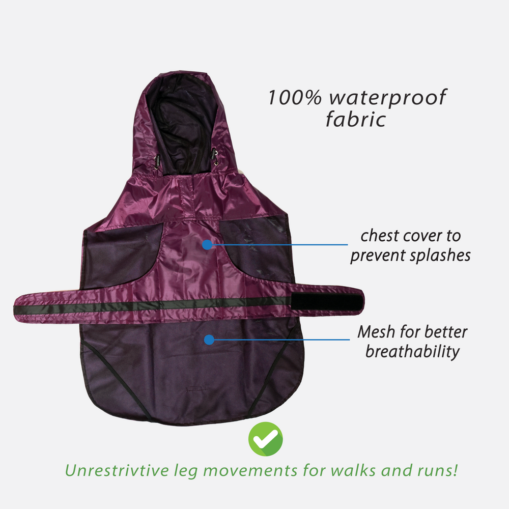 dog-raincoat-purple-mutt-of-course