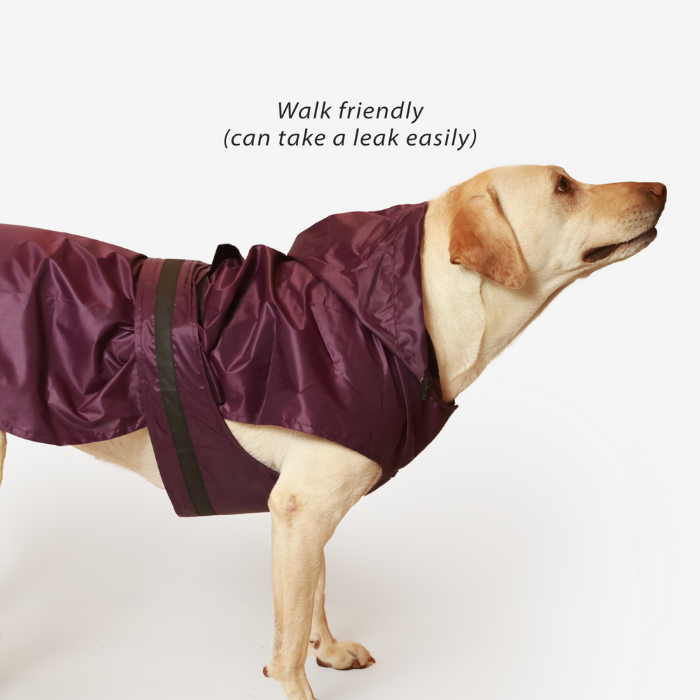Dog Raincoat Purple Mutt Of Course dog-raincoat-purple-mutt-of-course