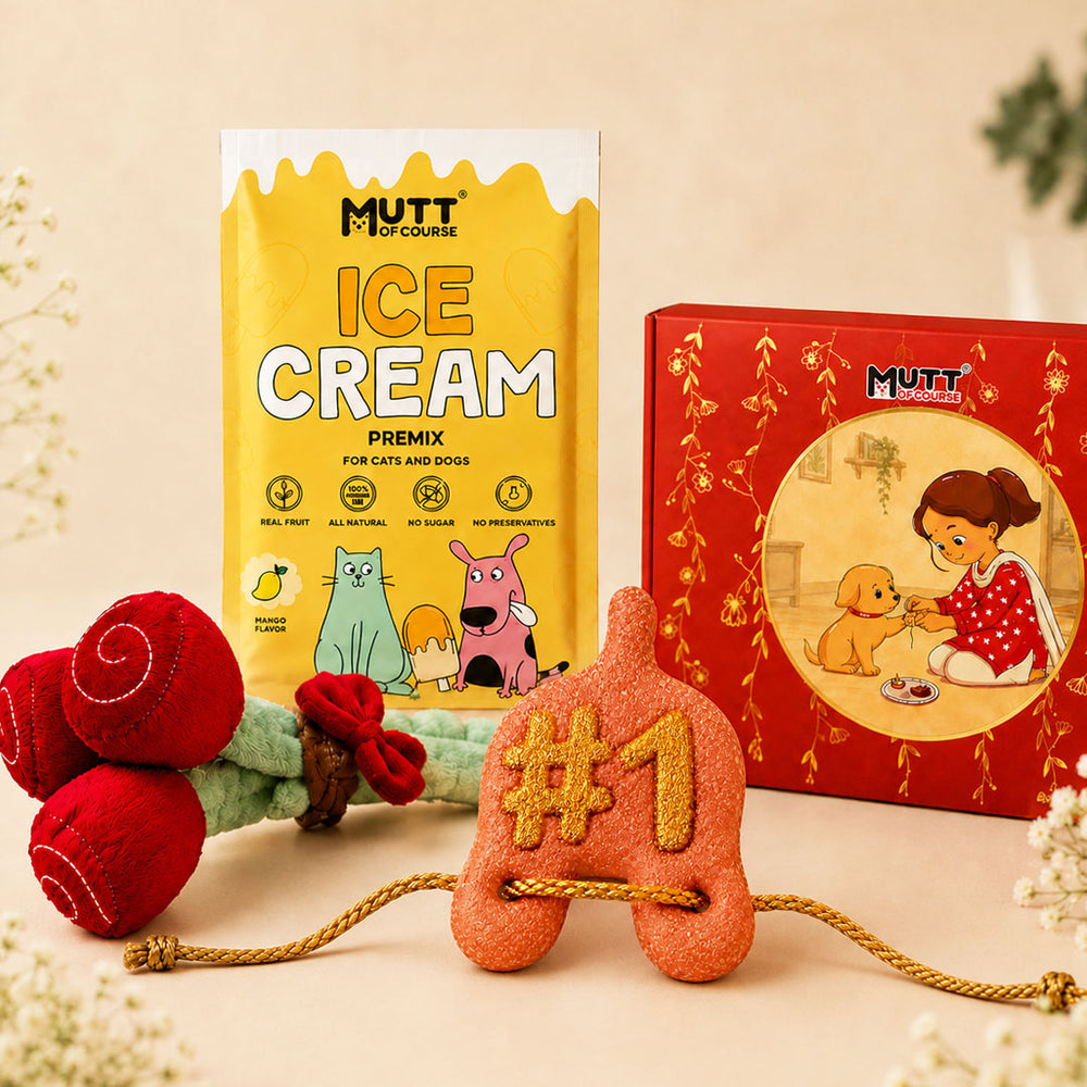 Rakhi Chill and Play Combo