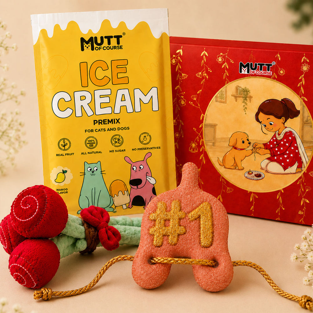 Rakhi Chill and Play Combo
