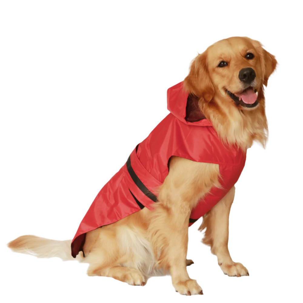Red Radiant Dog Raincoat
