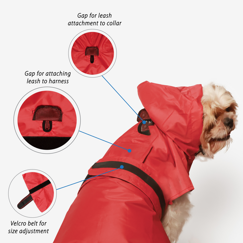 Red Radiant Dog Raincoat
