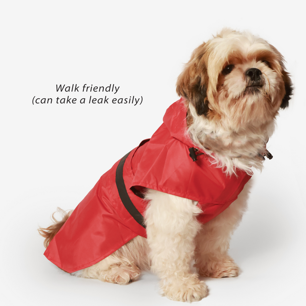 Red Radiant Dog Raincoat