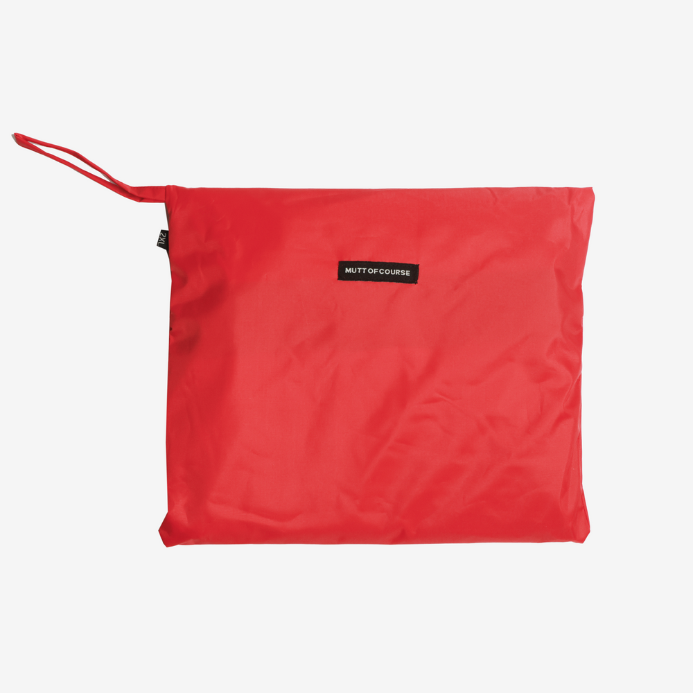 Red Radiant Dog Raincoat