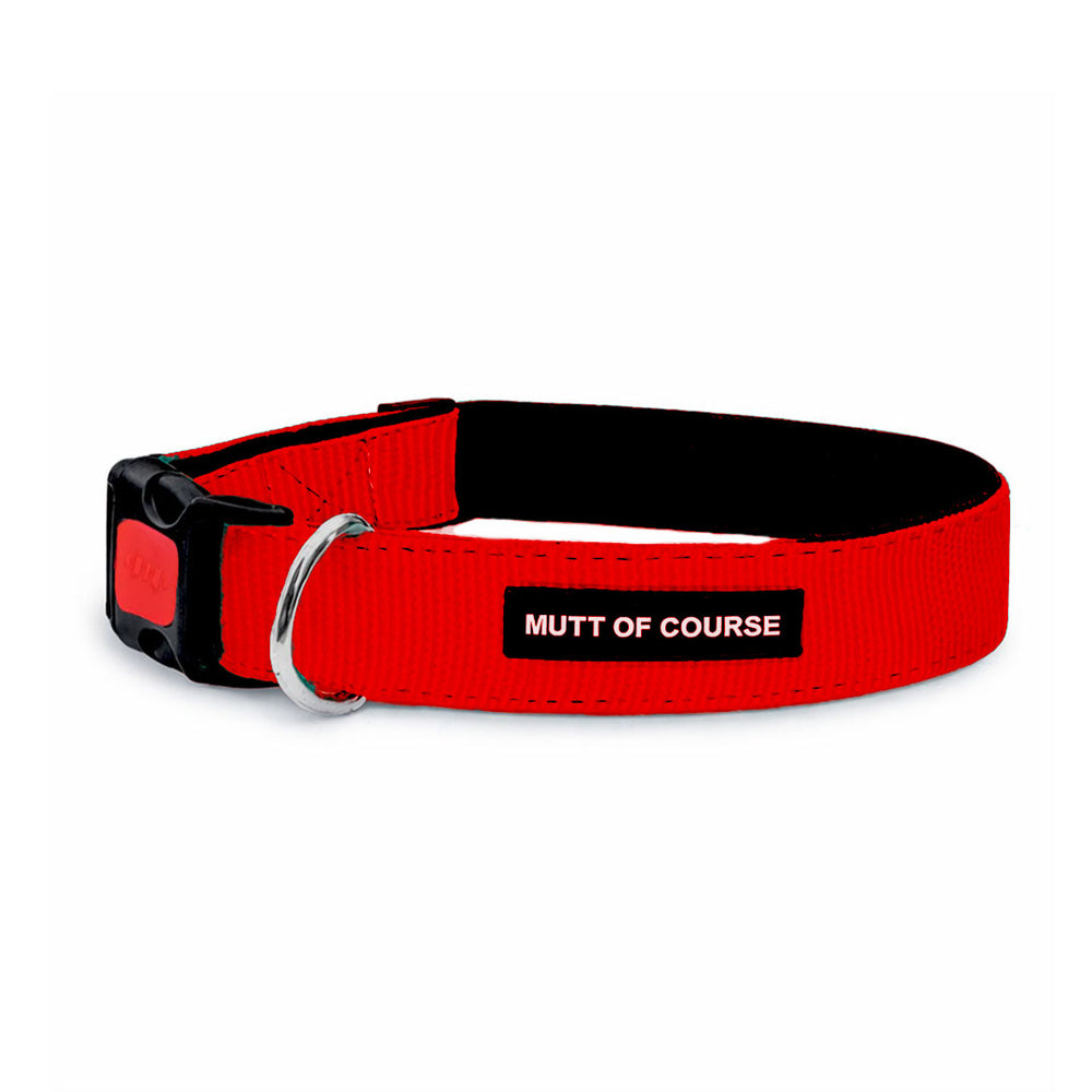 Mutt Of Course Basic Red Dog Collar