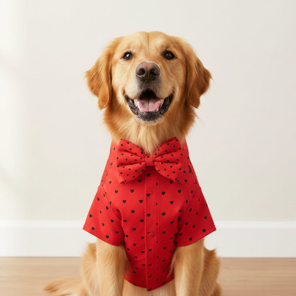 Matching Little Hearts Dog Shirt & Dog Bow Tie  | Adjustable Bow Tie for Dogs | Breathable Fabric Shirt for Dogs