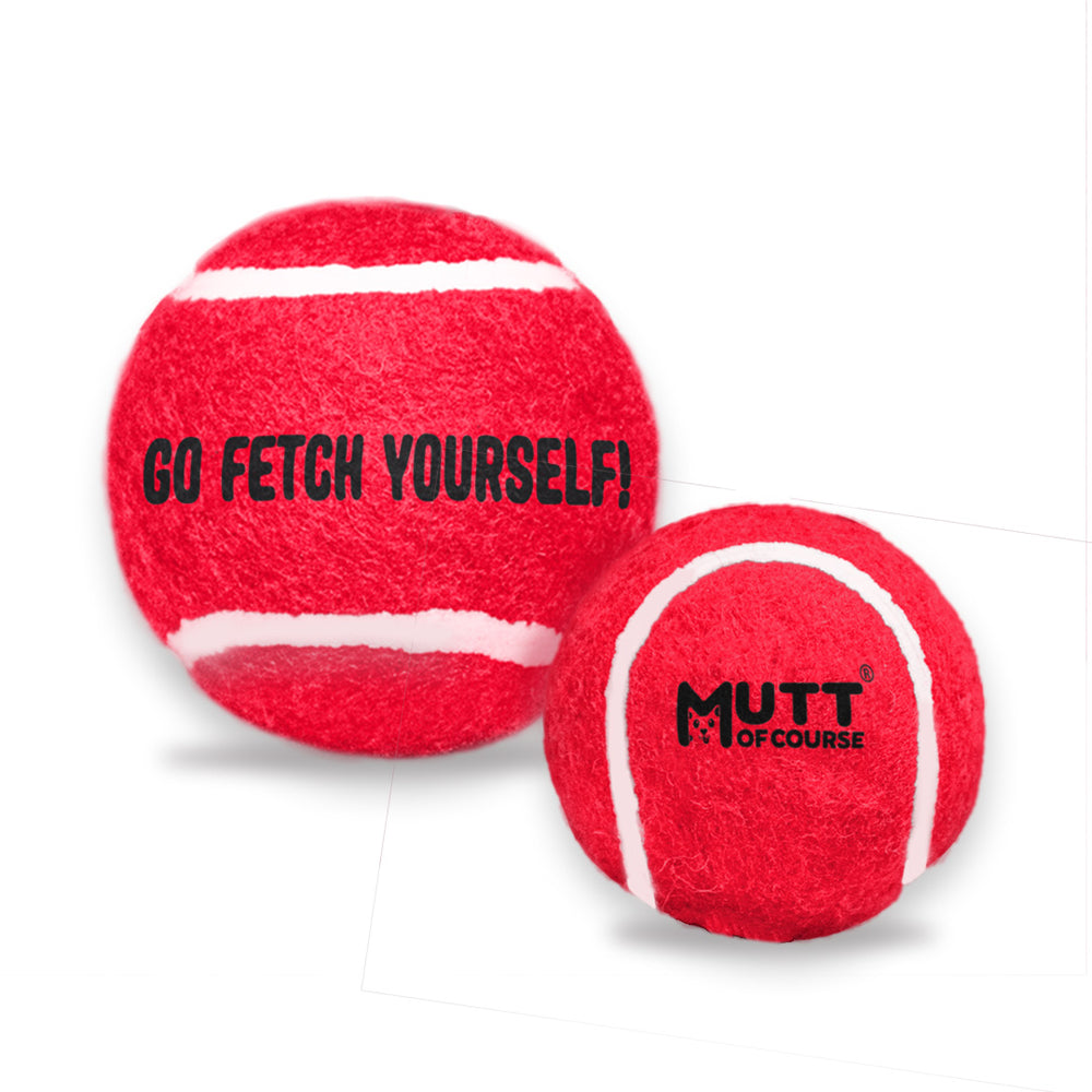 Squeaky Fetch Balls - Set of 2