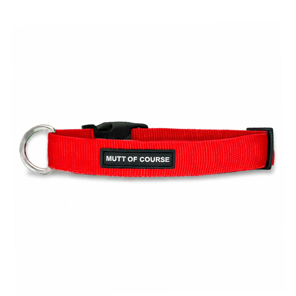 Mutt Of Course Basic Red Dog Collar