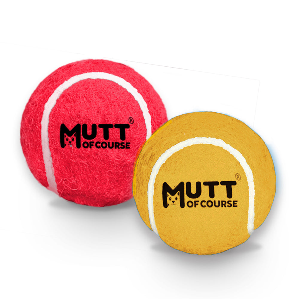Squeaky Fetch Balls - Set of 2