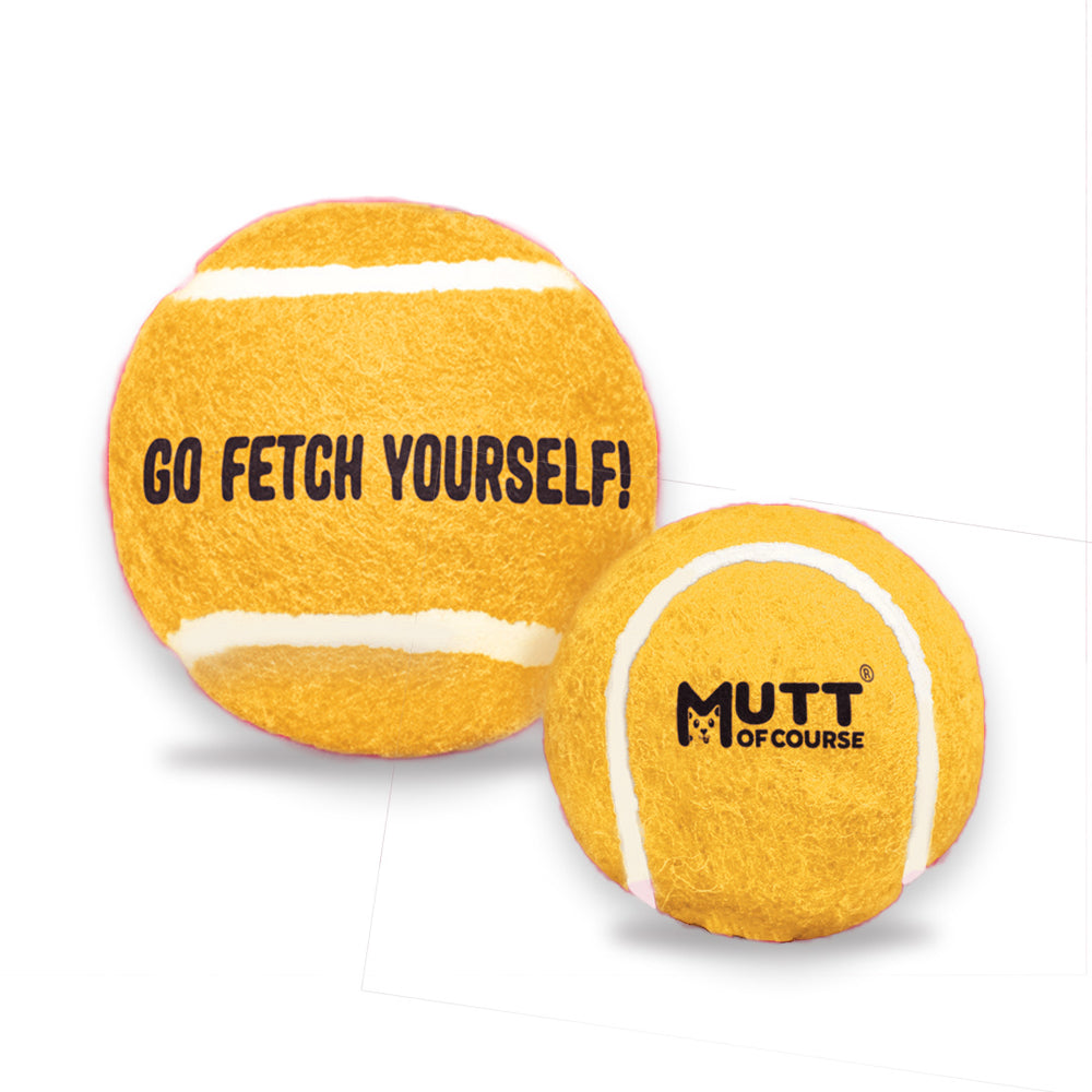 Squeaky Fetch Balls - Set of 2