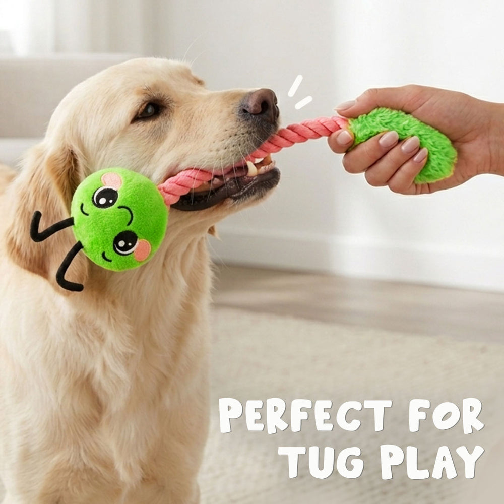 Caterpillar Rope Toy